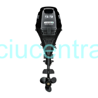 Suzuki DF9.9 BRL pakabinamas valties variklis 4T - 9.9AG
